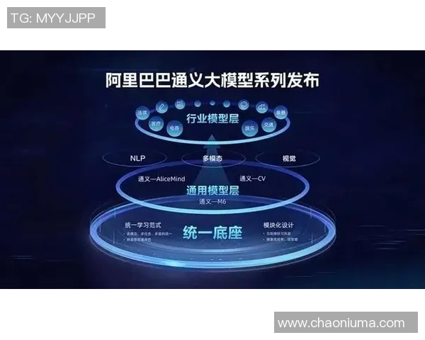 深度解析国王队当前表现及未来发展趋势全面预测