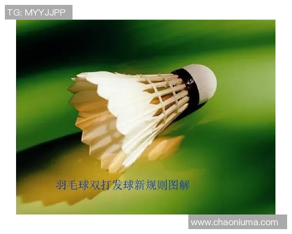 羽毛球运动员伤病康复新方法探索与实践分析
